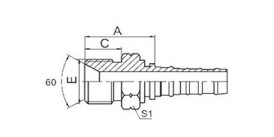 SS12613 BSP MALE 60° CONE SEAT