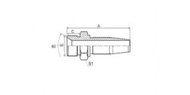 SS12618-R5 BSPP MALE 60° CONE SEAT