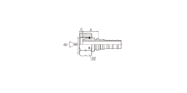 SS22613-W BSP FEMALE 60° CONE