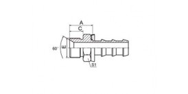 SS12611-PO BSP MALE 60° CONE SEAT