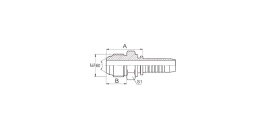 SS18611 JIS METRIC MALE 60° CONE SEAT