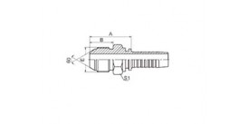 SS19611 JIS BSPP MALE 60° CONE SEAT