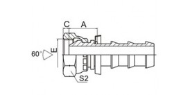 SS22611-PO BSP FEMALE 60° CONE