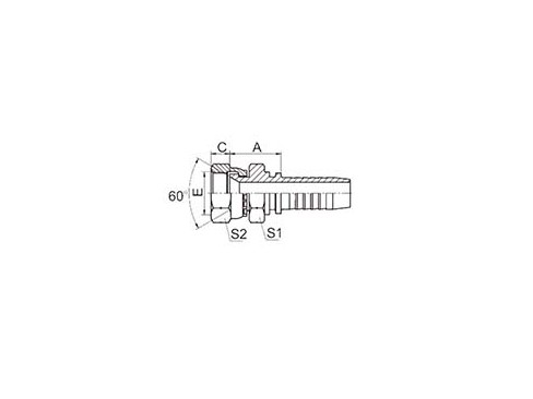 SS29611 JIS GAS FEMALE 60° CONE SEAT (JIS B8363)