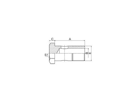 SS720B BSP BOLT