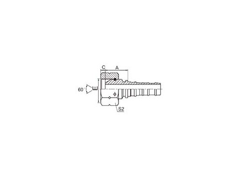 22613-W BSP FEMALE 60° CONE