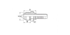 18611 JIS METRIC MALE 60° CONE SEAT