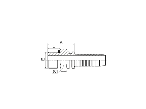 12211 BSP MALE O-RING SEAL