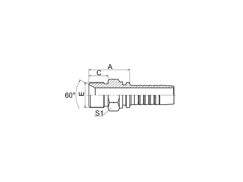 12611 BSP MALE 60° CONE SEAT