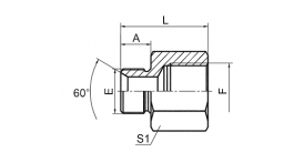 5B BSP MALE DOUBLE USE FOR 60° CONE SEAT OR BONDED SEAL / BSP FEMALE ISO 1179 5B BSP MALE DOUBLE USE FOR 60° CONE SEAT OR BONDED SEAL / BSP FEMALE ISO 1179